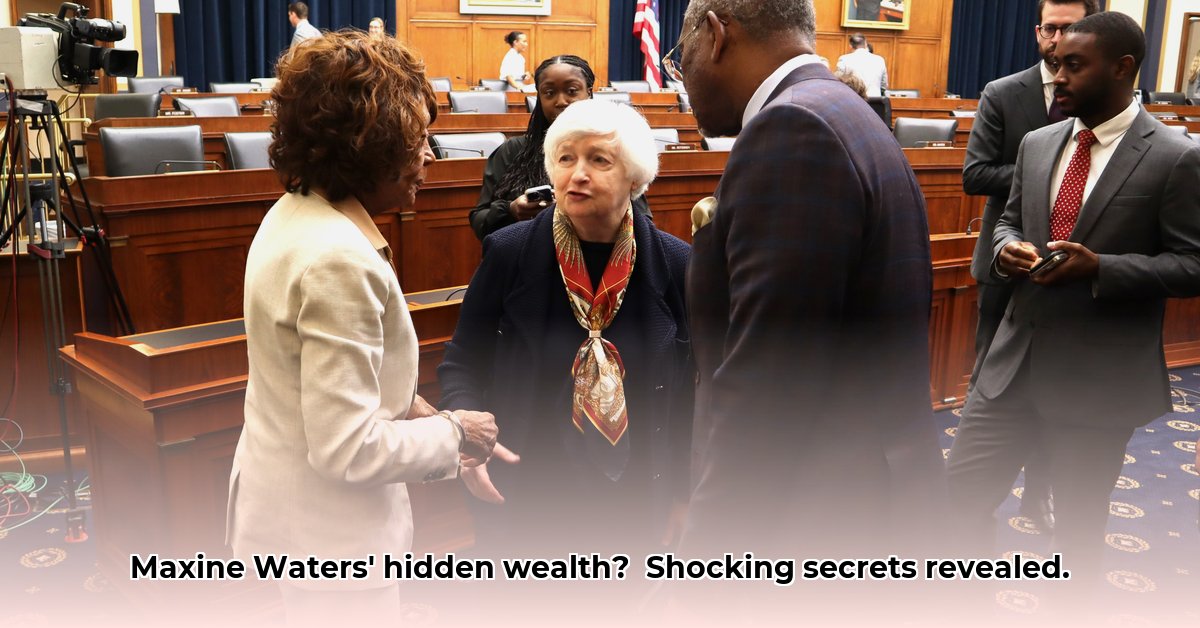 maxine-waters-wealth-and-income